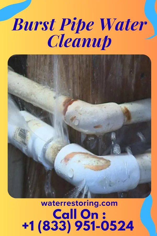 Burst Pipe Water Cleanup in Moundridge, KS